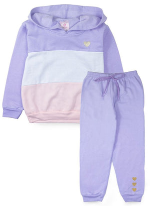 Conjunto Infantil Feminino Moletom com Capuz Coração Rosa 0015 - Lupilu